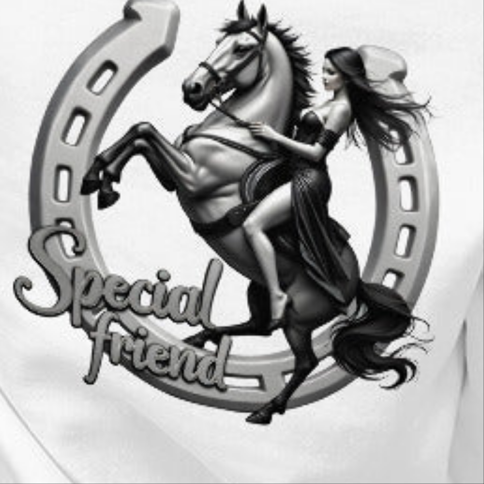 Women's horse Shoe special friend Hoodie